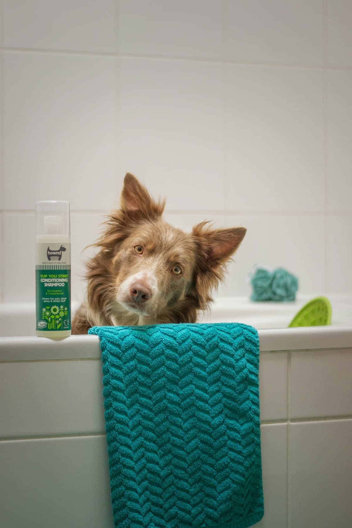 Shampooing Doux à l’Avoine 500 ml